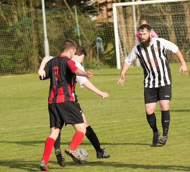 刚来的时候 刚来的时候