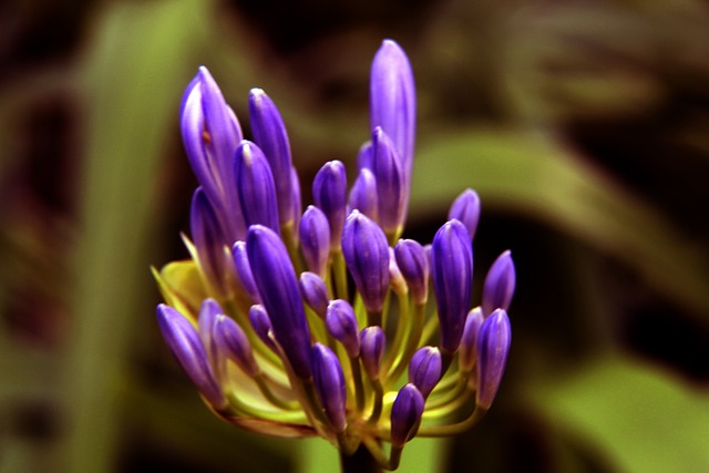 了绝对的统 了绝对的统