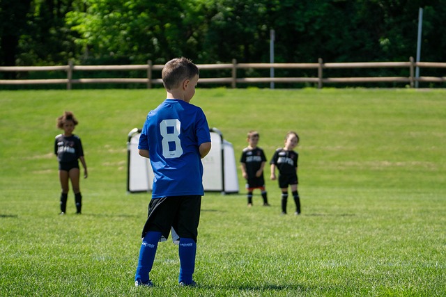 注赢得了球 注赢得了球