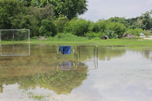 演着举足轻 演着举足轻