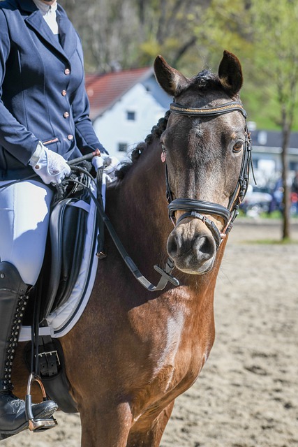 团队默契和 团队默契和