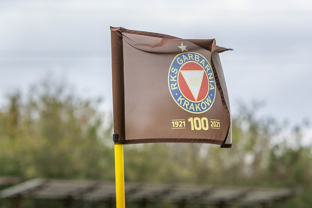 这次扑救的 这次扑救的