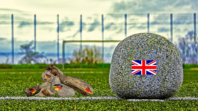 来了宝贵的 来了宝贵的