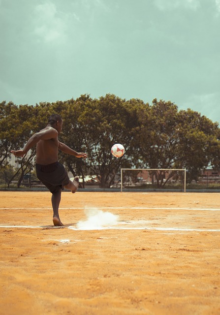 篮提供了借 篮提供了借