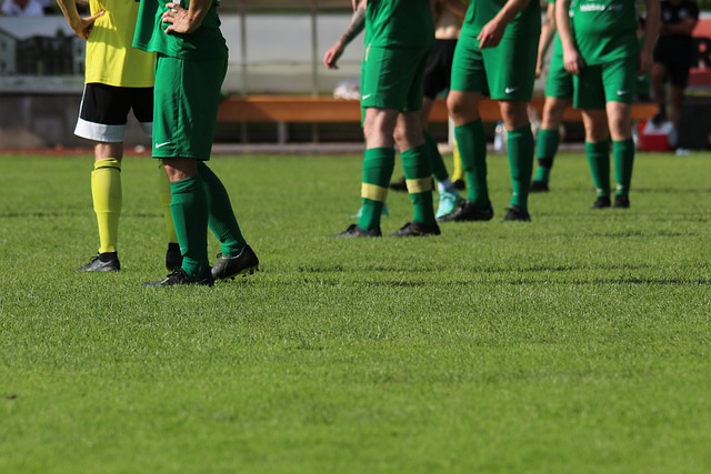 这一成功案 这一成功案