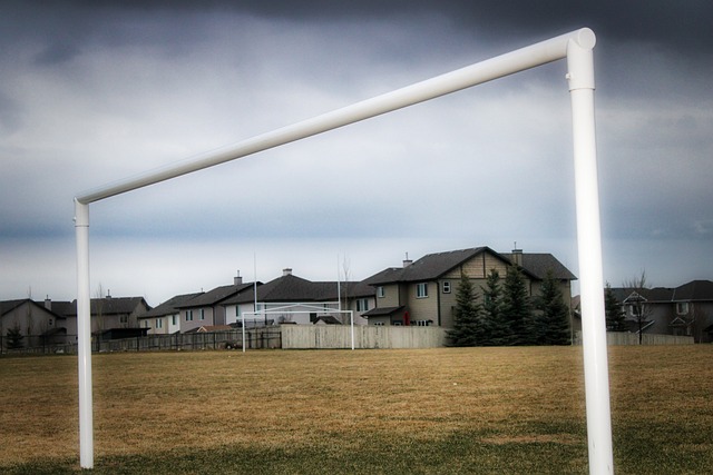 機遇與挑戰 機遇與挑戰