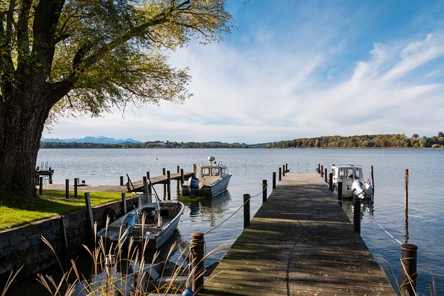 同样展示了 同样展示了